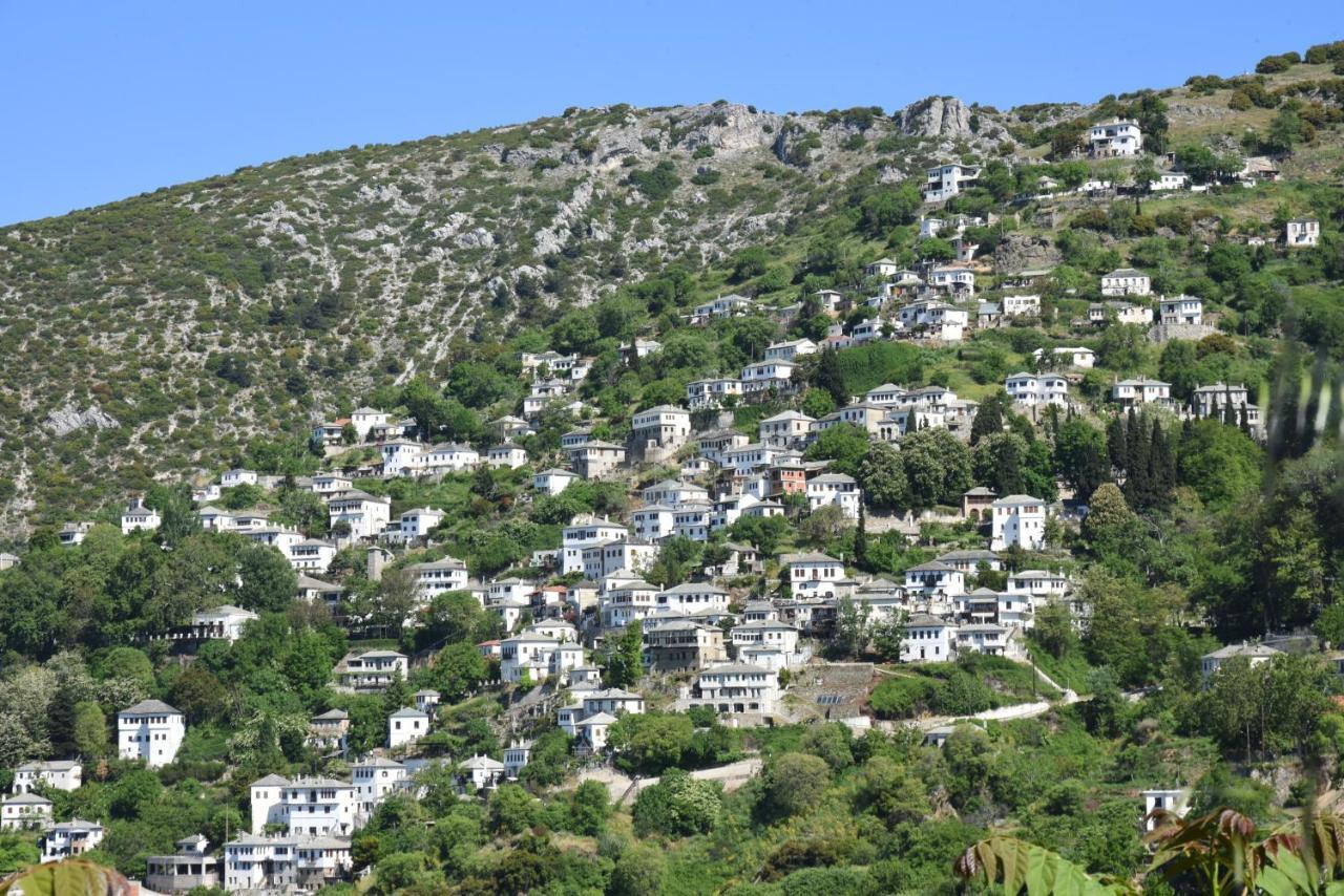 فندق Archontika Karamarlis Makrinítsa المظهر الخارجي الصورة